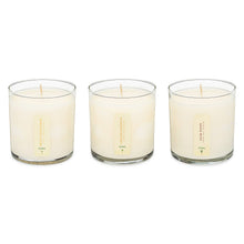 Load image into Gallery viewer, Floral Bouquet - Plant the Box Votive Candle Trio