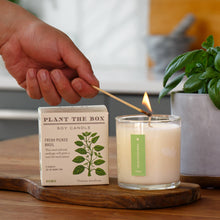 Load image into Gallery viewer, Fresh Picked Basil - Plant the Box Candle - 9oz.
