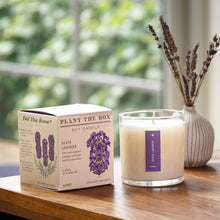 Load image into Gallery viewer, Heath Lavender - Plant the Box Candle - 9oz.
