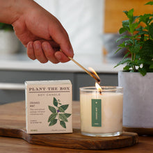 Load image into Gallery viewer, Crushed Mint - Plant the Box Candle - 9oz.

