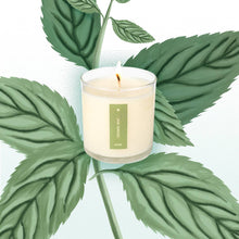 Load image into Gallery viewer, Crushed Mint - Plant the Box Candle - 9oz.
