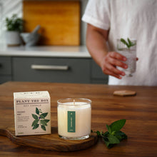 Load image into Gallery viewer, Crushed Mint - Plant the Box Candle - 9oz.
