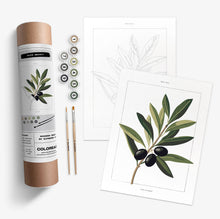 Load image into Gallery viewer, Meet the Vendor: Coloready Paint &amp; Snack
