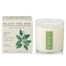 Load image into Gallery viewer, Crushed Mint - Plant the Box Candle - 9oz.
