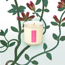 Load image into Gallery viewer, Somerset Thyme - Plant the Box Candle - 9oz.
