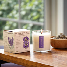 Load image into Gallery viewer, Heath Lavender - Plant the Box Candle - 9oz.
