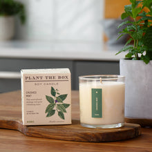 Load image into Gallery viewer, Crushed Mint - Plant the Box Candle - 9oz.
