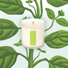 Load image into Gallery viewer, Fresh Picked Basil - Plant the Box Candle - 9oz.
