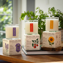 Load image into Gallery viewer, Heath Lavender - Plant the Box Candle - 9oz.
