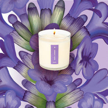 Load image into Gallery viewer, Heath Lavender - Plant the Box Candle - 9oz.

