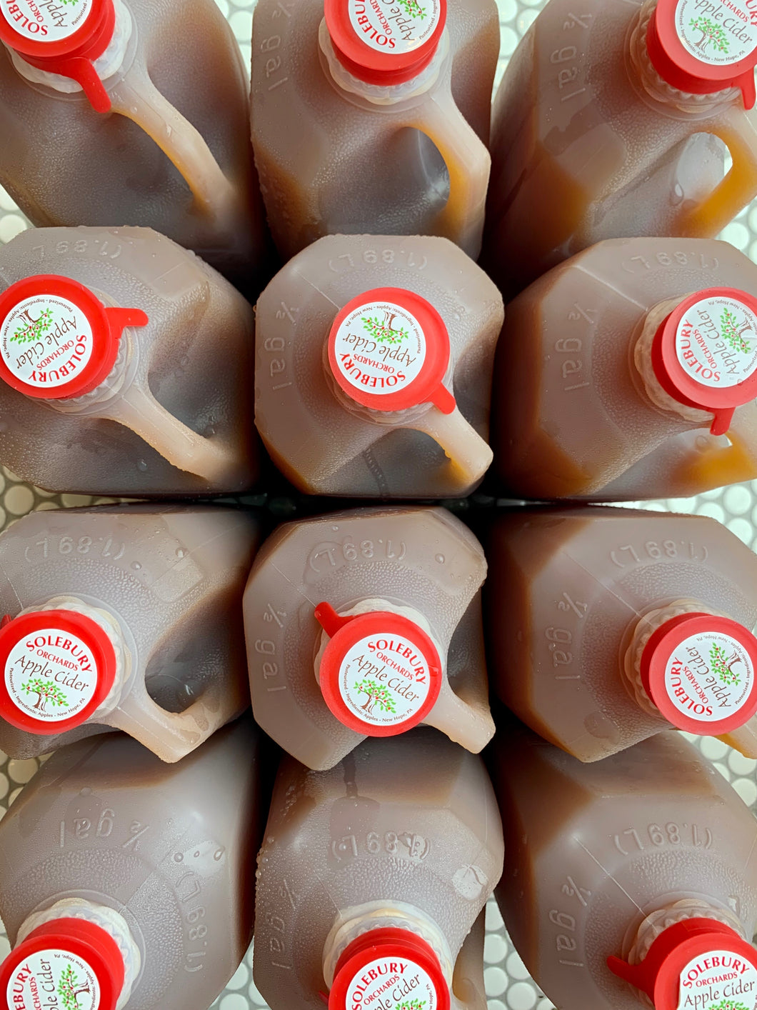 Solebury Orchards Apple Cider Half Gallon