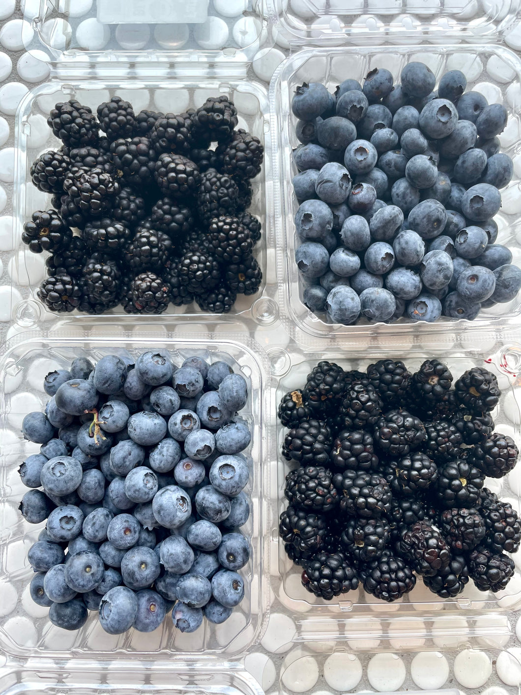 Jersey Fresh Organic Blackberries 1/2pint